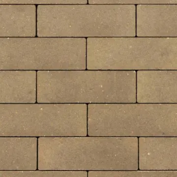 GeoRetron Privato Klinker 21x10,5x8 cm Rosendael
