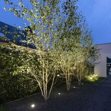 in-lite NERO