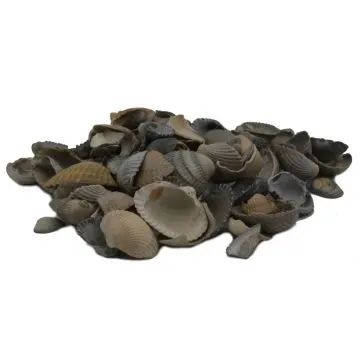 Schone Schelpen (BigBag á ca. 0,6 m³)