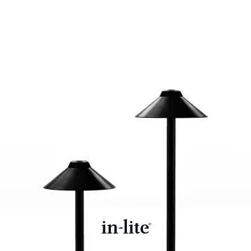 in-lite NAIL