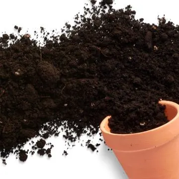 Teelaarde - tuinaarde (BigBag circa 0,7 kuub)