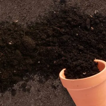 Teelaarde - tuinaarde (BigBag circa 0,7 kuub)