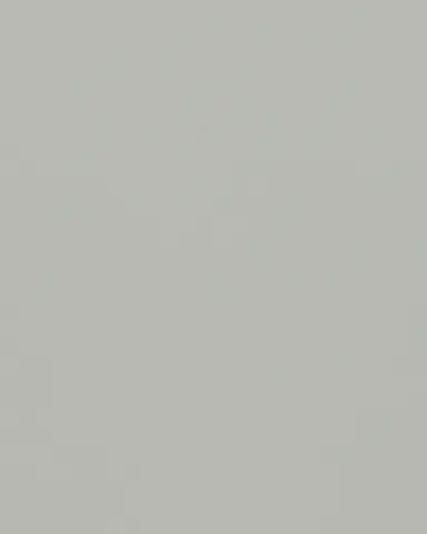 Agate Grey RAL 7038