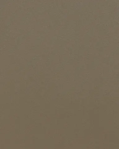 Beige Grey - RAL 7006