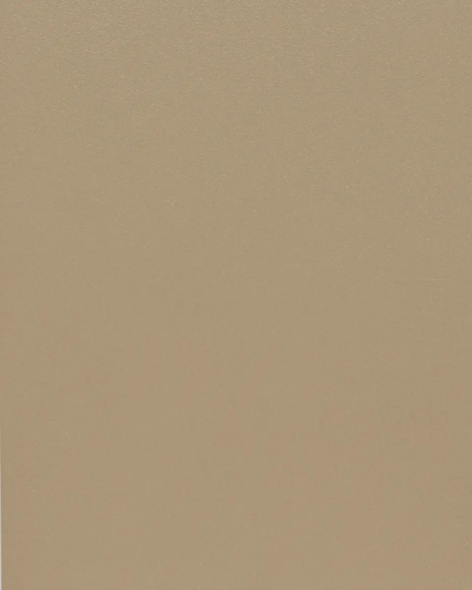 Grey Beige - RAL 1019