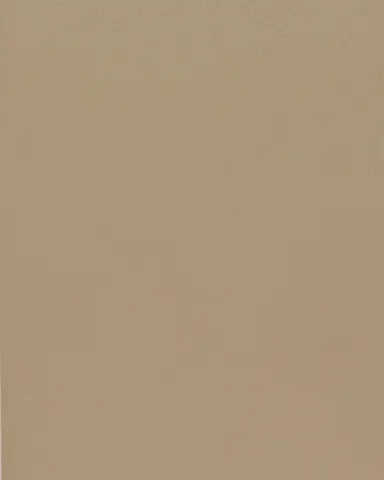 Grey Beige - RAL 1019