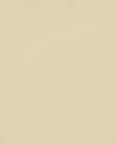 Light Ivory - RAL 1015