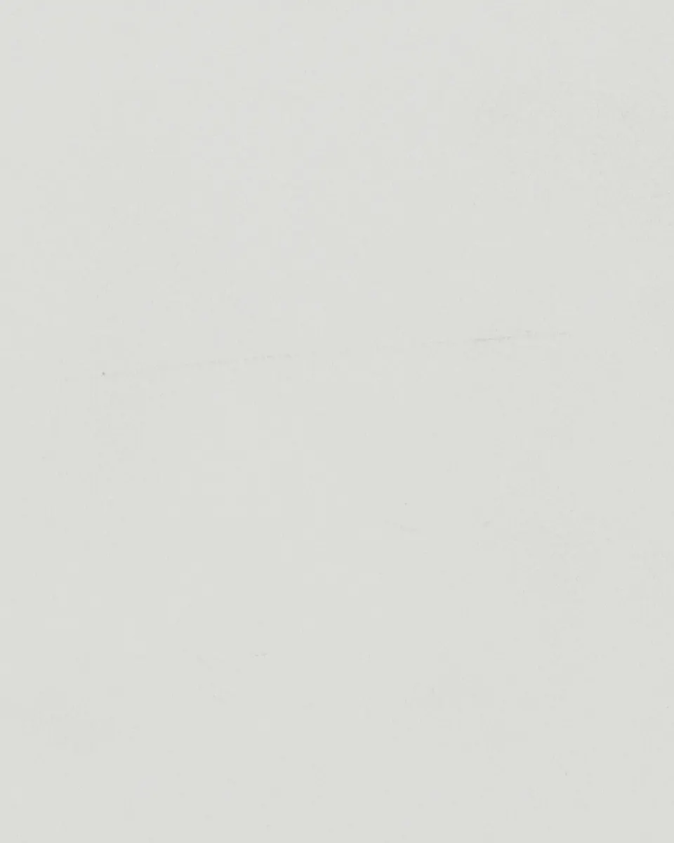 Traffic White - RAL 9016
