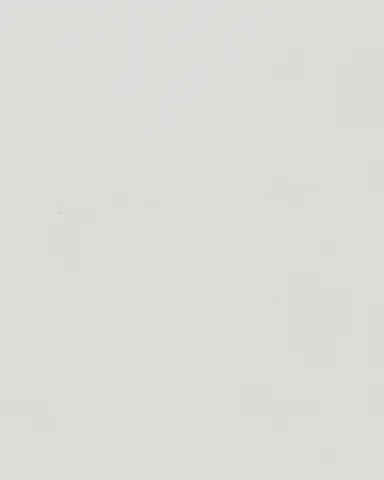 Traffic White - RAL 9016